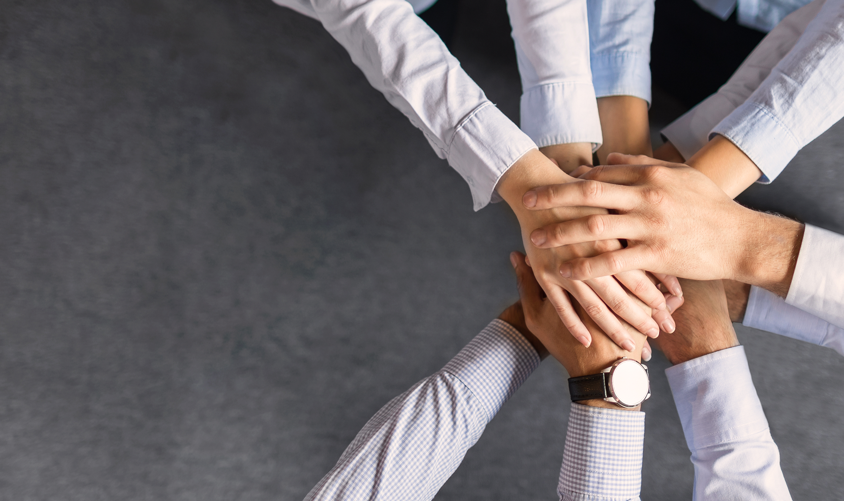 WACHSTUMSPLAN Konzepte für Wachstum